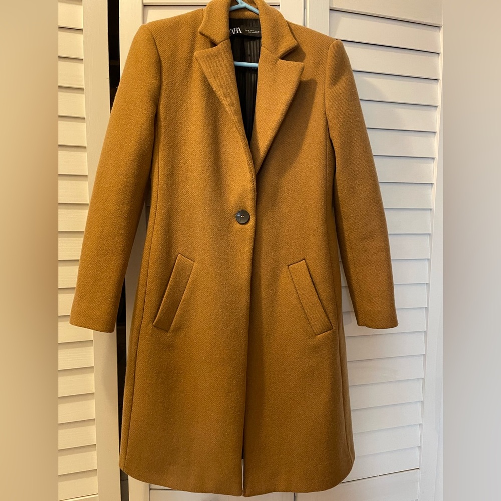Zara brown coat